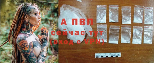 спайс Новодвинск