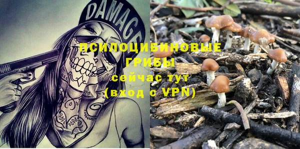 кокс Нягань