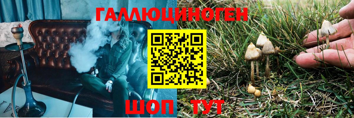 Лысьва  Псилоцибиновые грибы мухоморы  Вход с VPN 