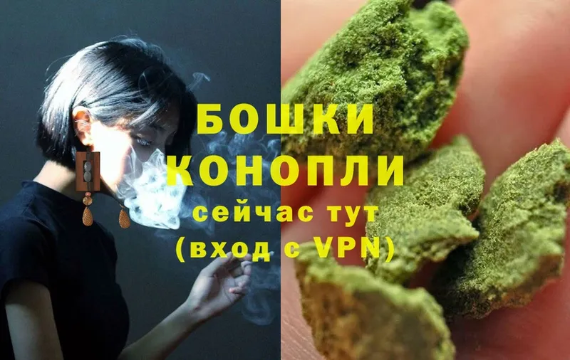 Бошки марихуана SATIVA & INDICA  магазин продажи наркотиков  Лысьва 